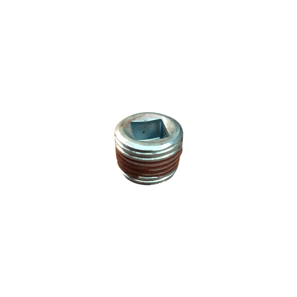 3013257 Pipe Plug 