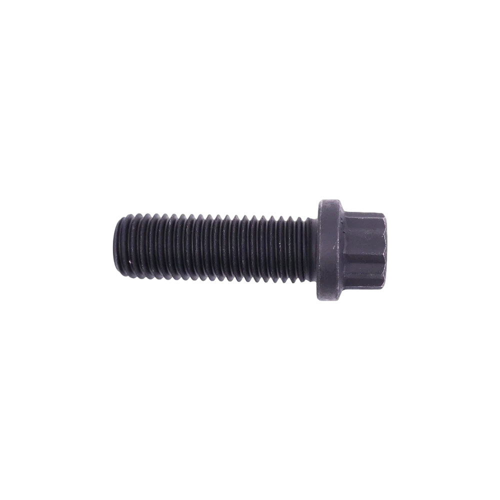 205584 Twelve Point Cap Screw 