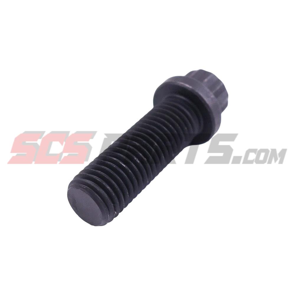 205584 Twelve Point Cap Screw 