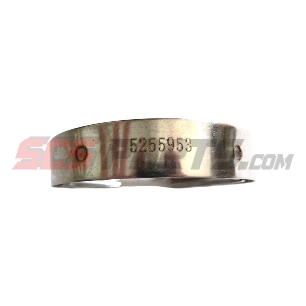 5255953 V Band Clamp 