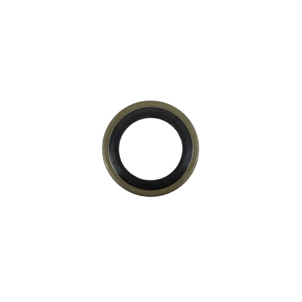 3963988 Sealing Washer 