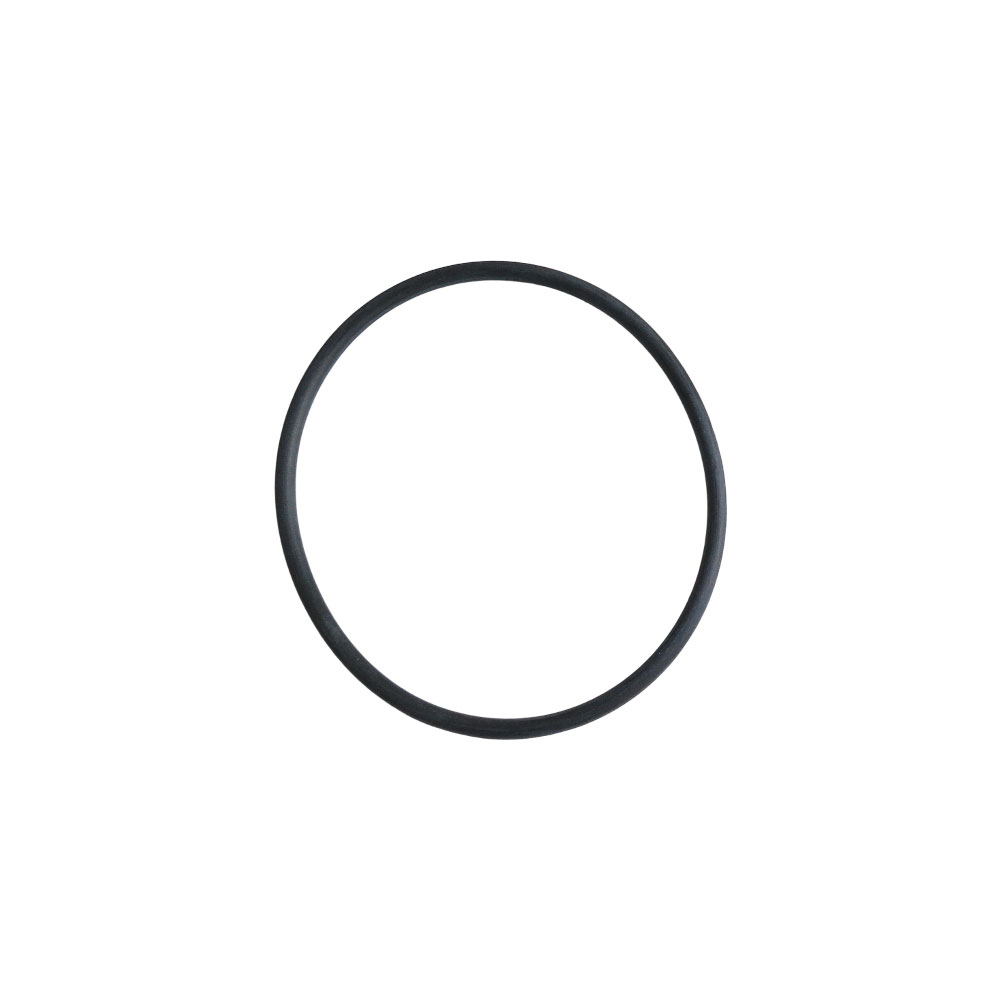 145586 O Ring Seal 