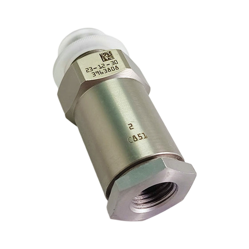 3963808 Pressure Relief Valve 