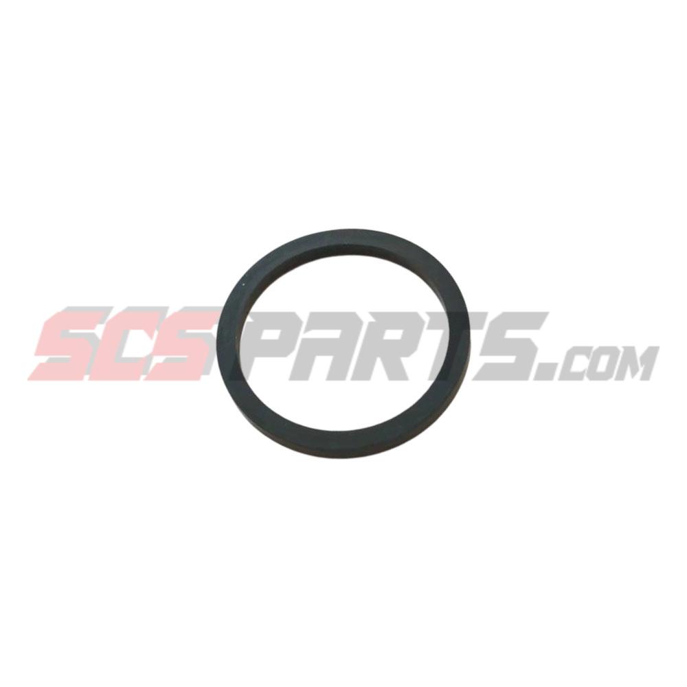 100099 Rectangular Ring Seal 