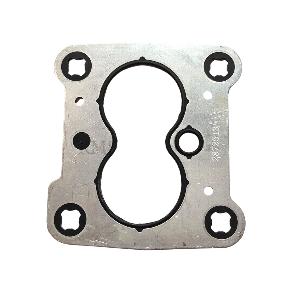 2872513 Fuel Pump Gasket 