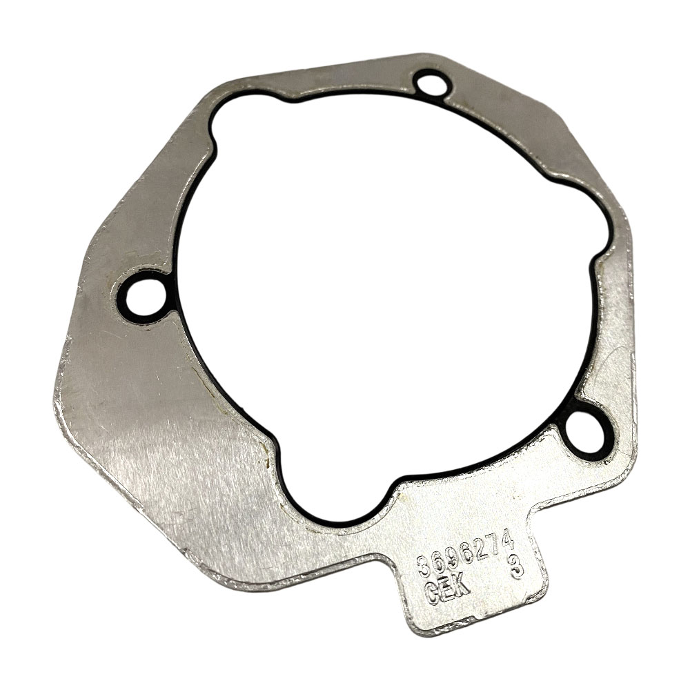 3696274 Fuel Pump Gasket 