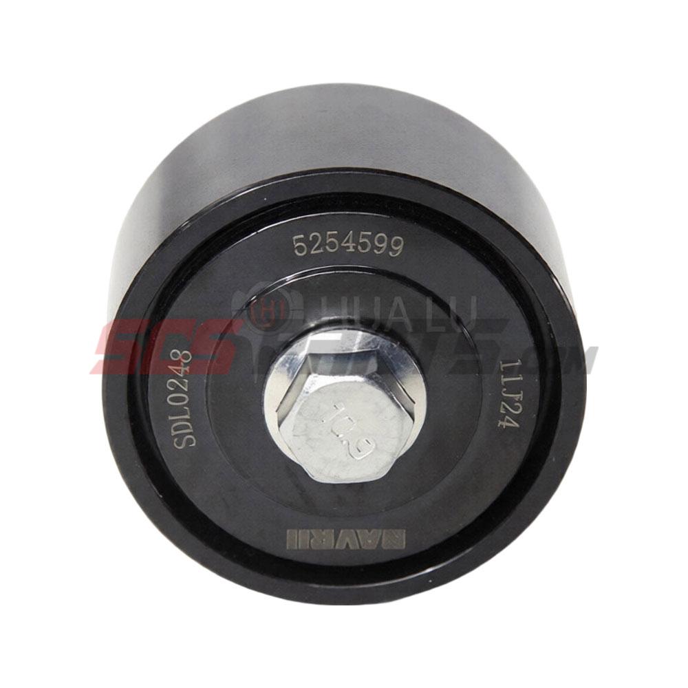 5254599 Idler Pulley 