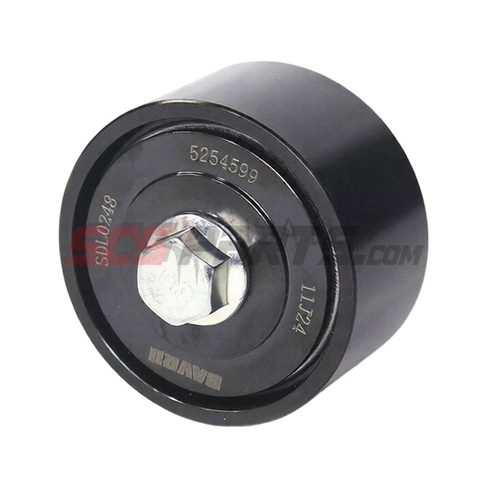 5254599 Idler Pulley 