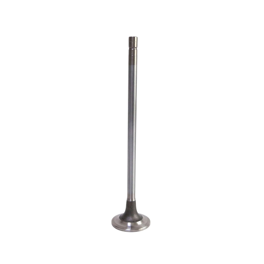 3685996 Intake Valve