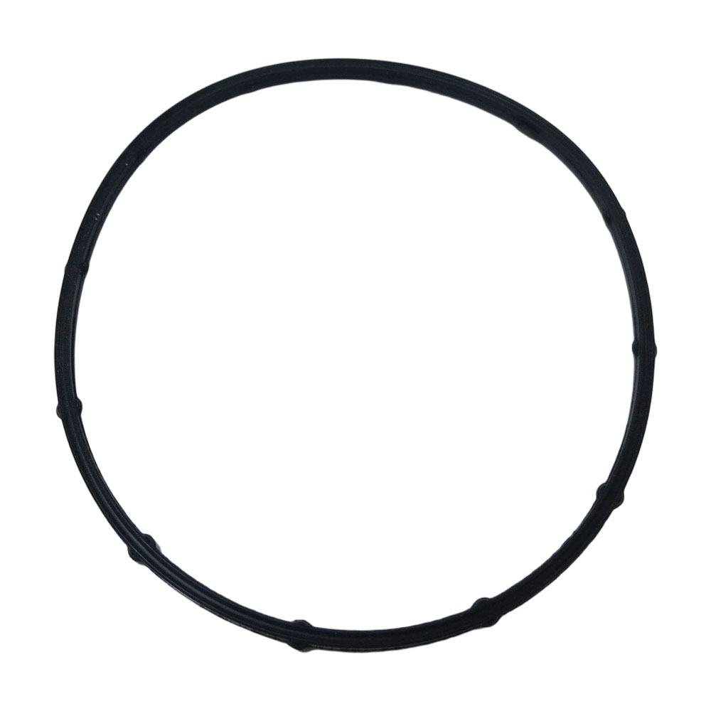 4985661 Rectangular Ring Seal