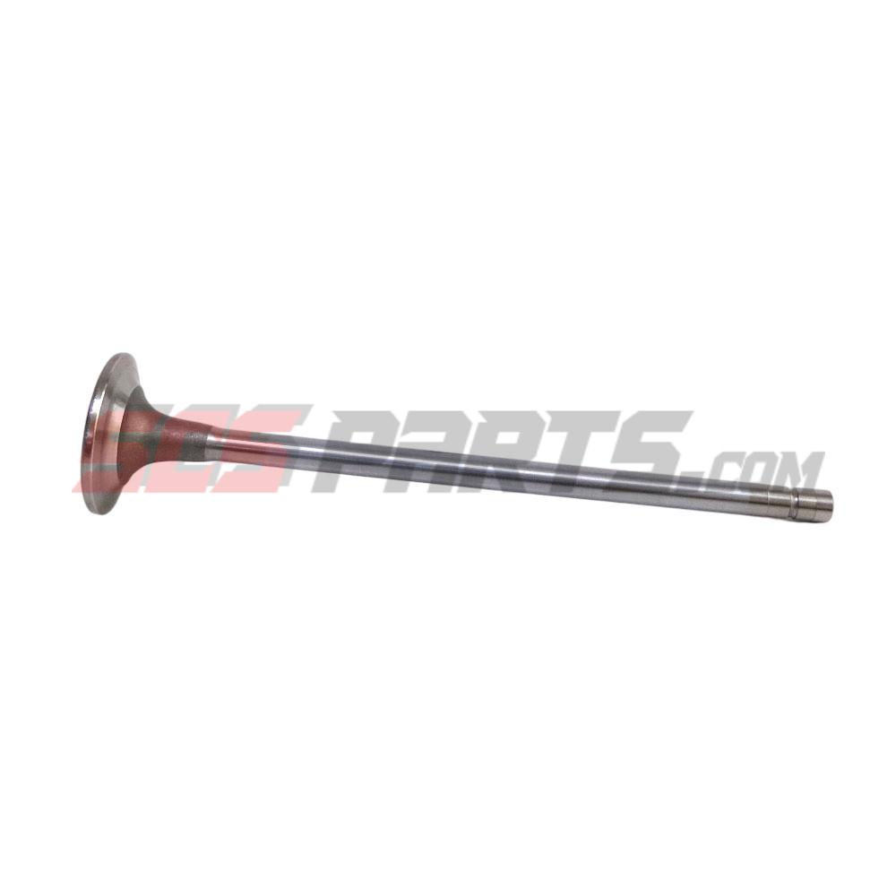 3685996 Intake Valve