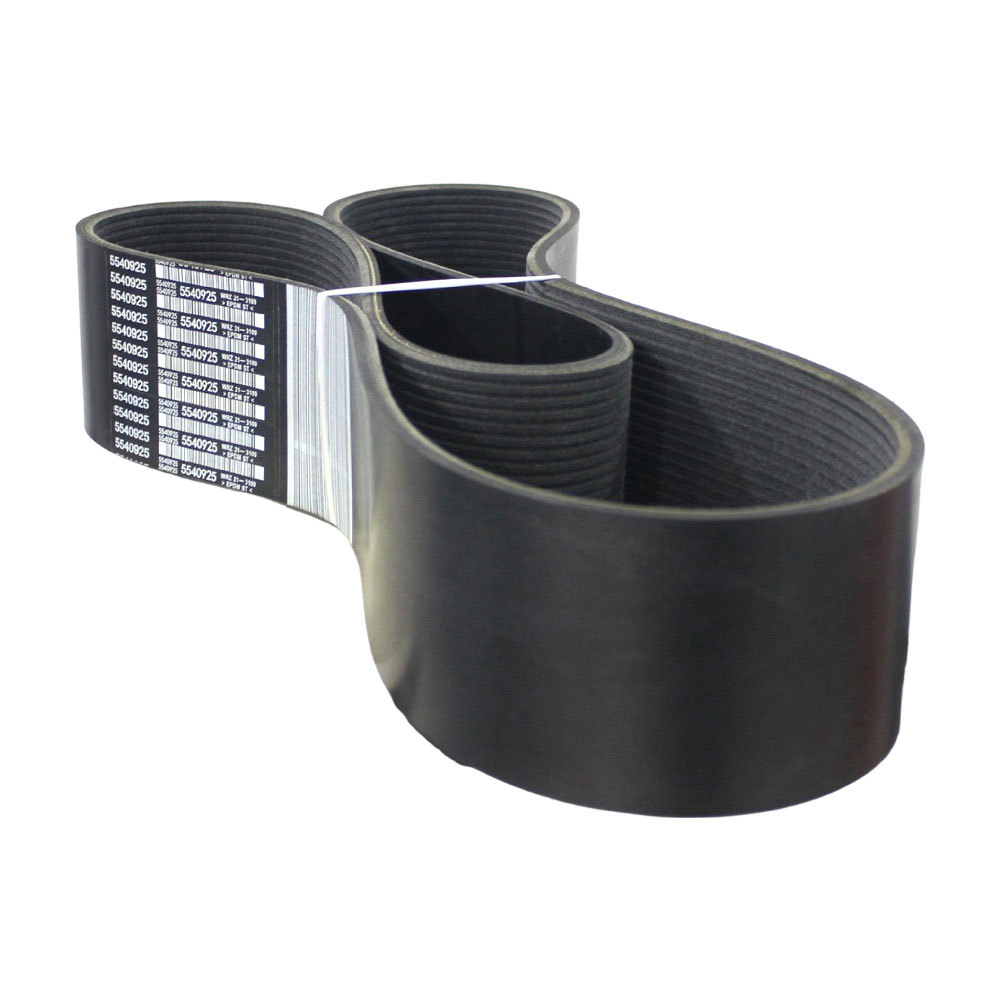 Cummins 5540925 V Ribbed Belt