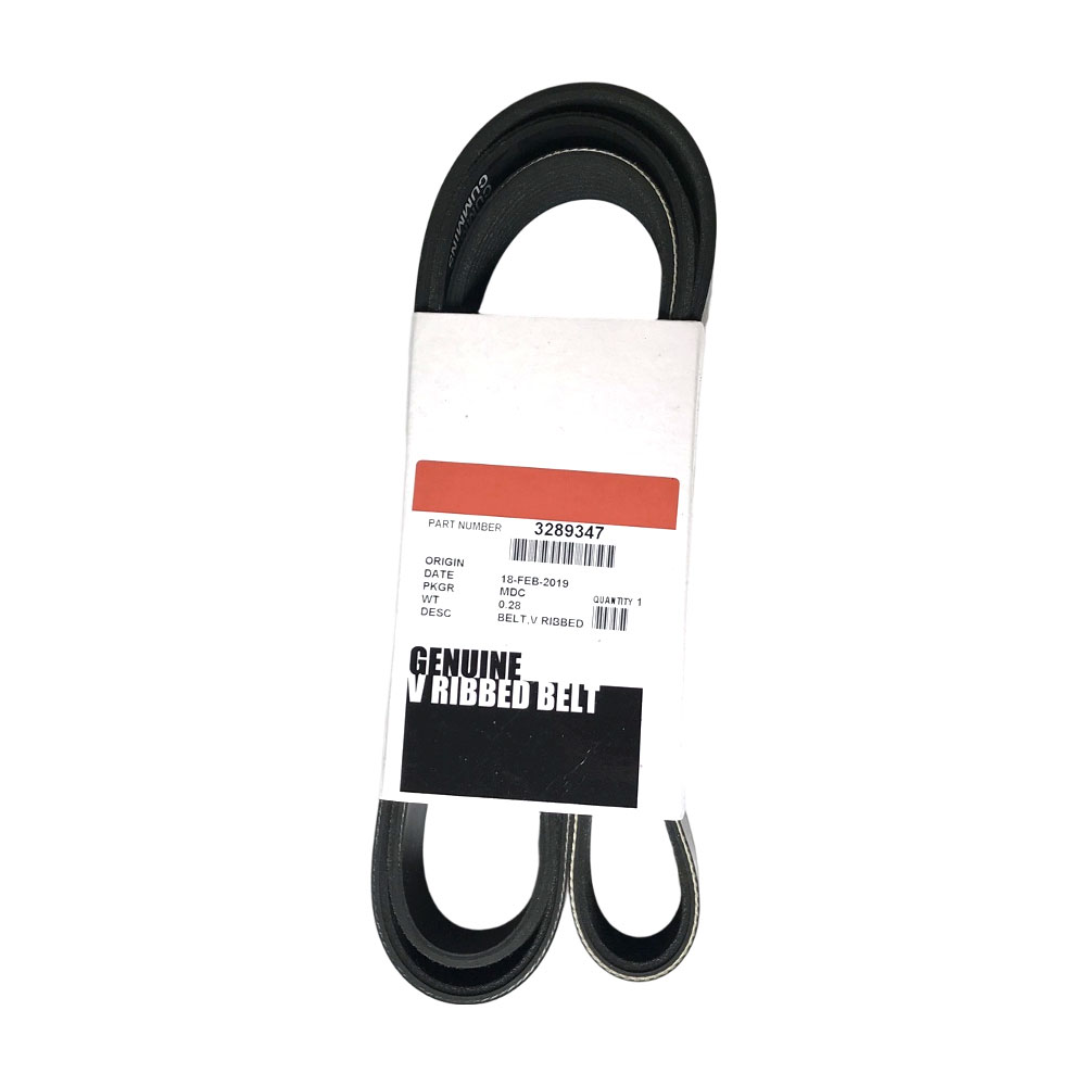 Cummins 3289347 V Ribbed Belt