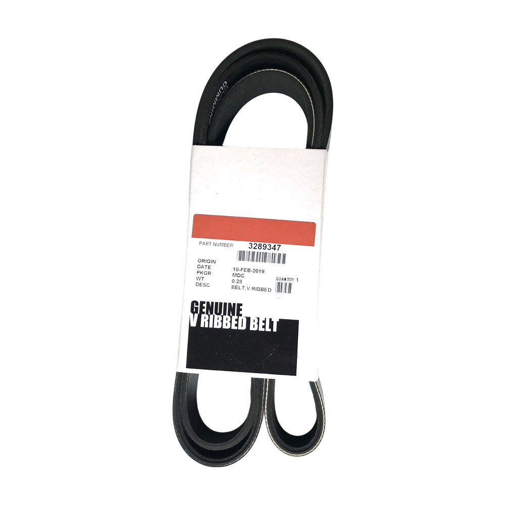 Cummins 3289347 V Ribbed Belt