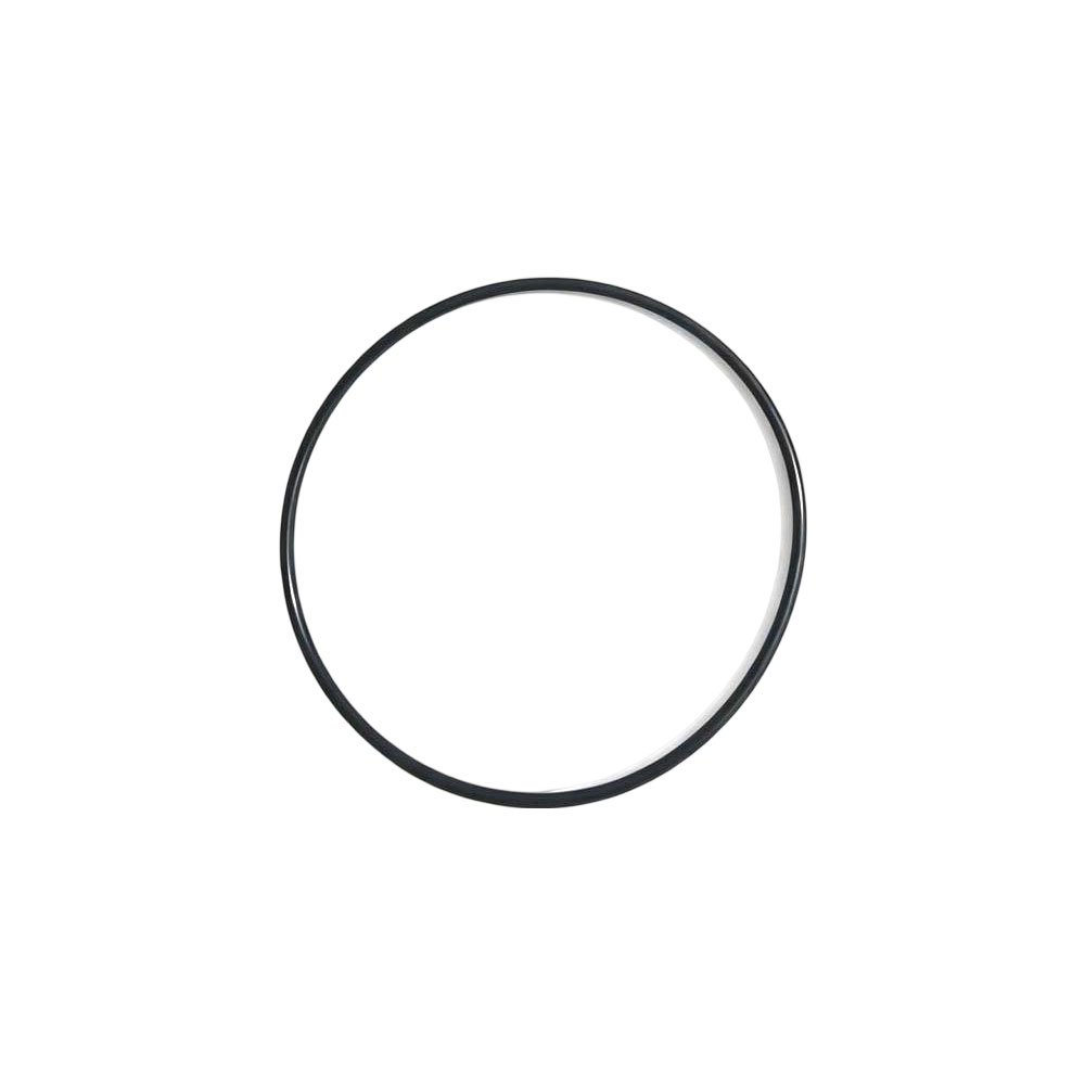 Cummins 4974852 O Ring Seal 