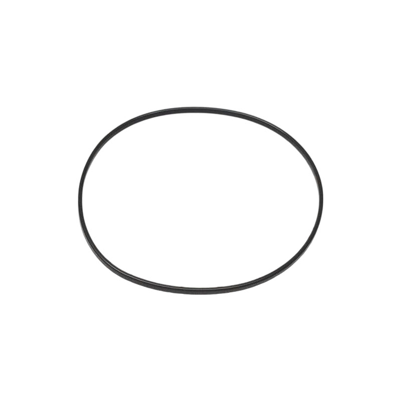 Cummins 3907177 Rectangular Ring Seal 