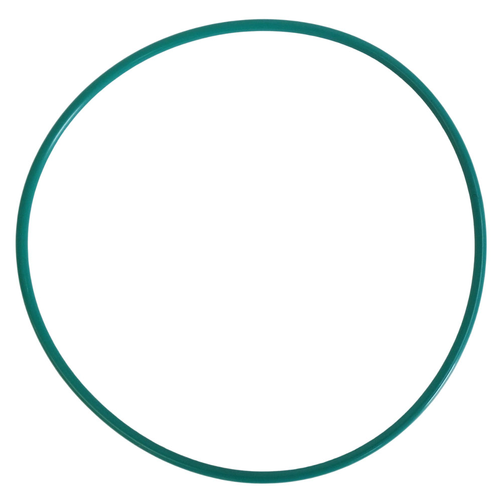 Cummins 4100660 O Ring Seal 