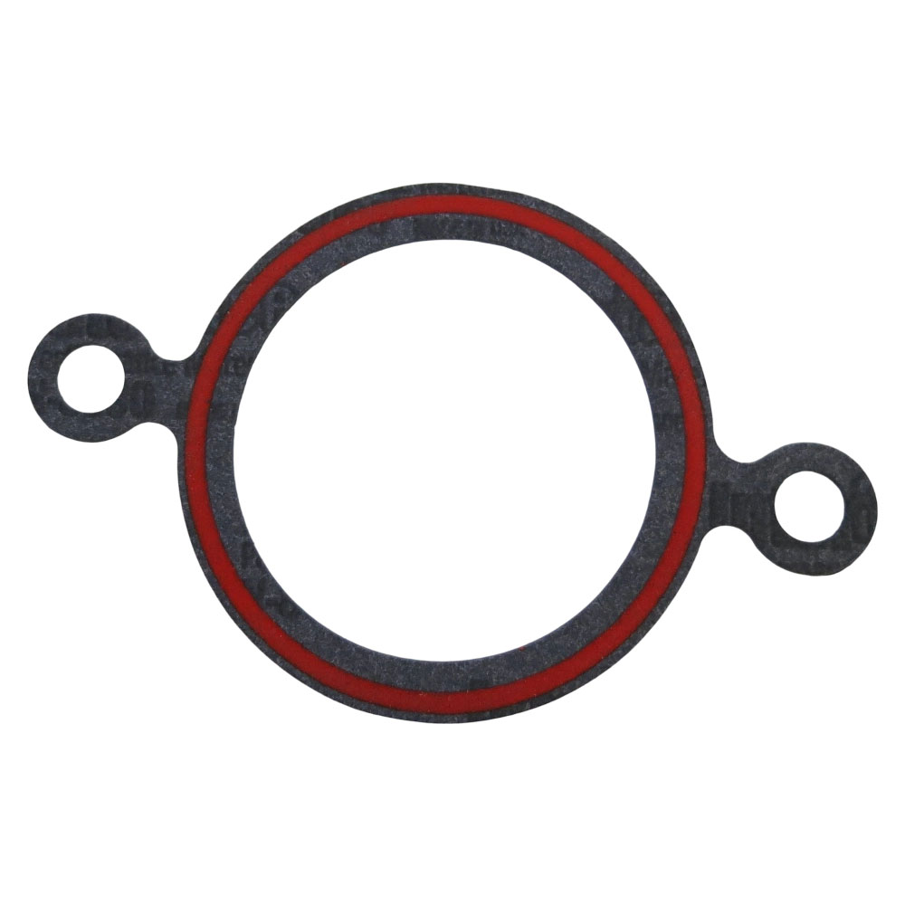 Cummins 3918779 Connection Gasket 