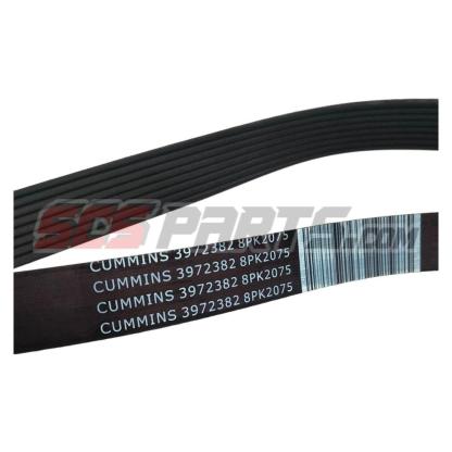 Cummins 3972382 V Ribbed Belt