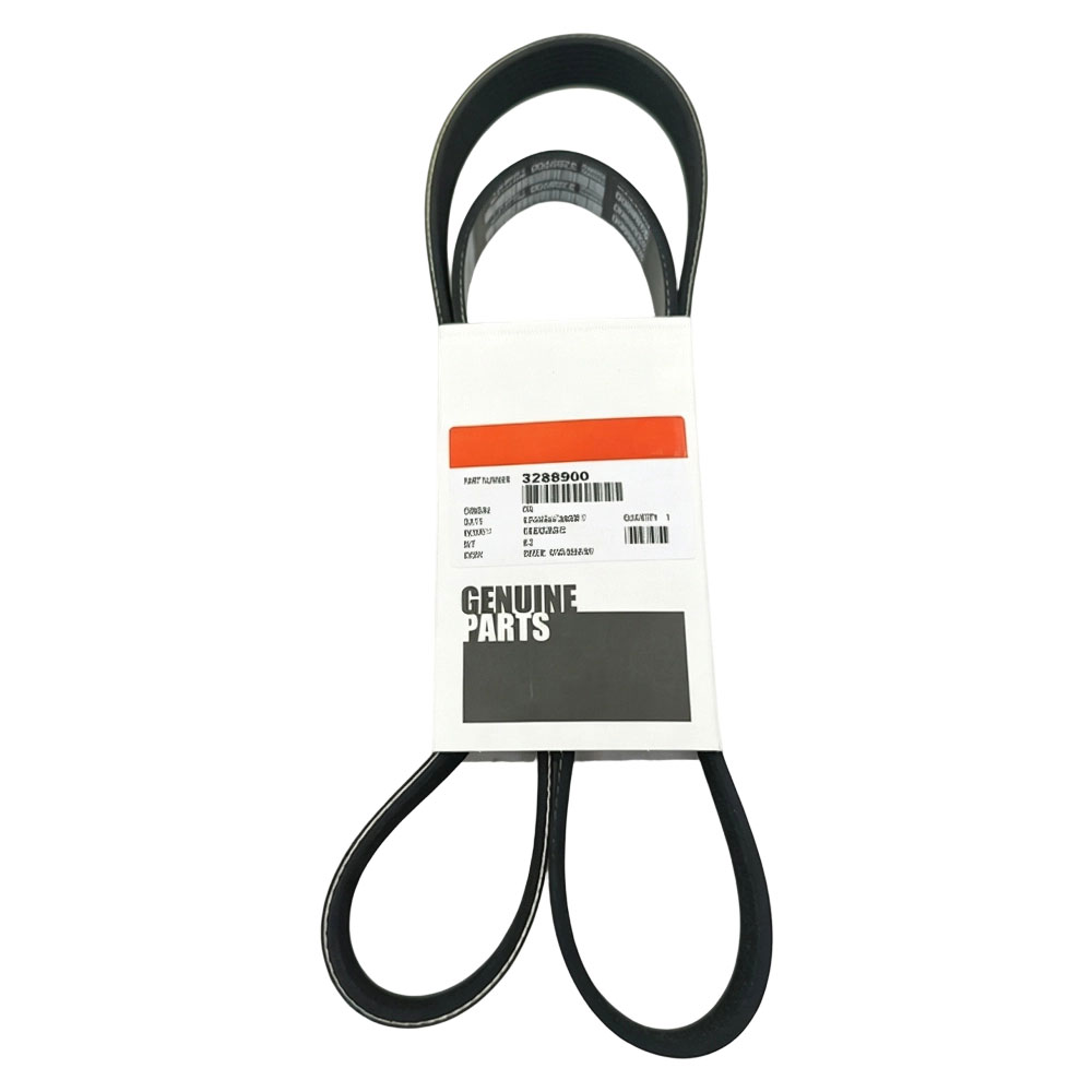 Cummins 3288900 Ribbed Belt