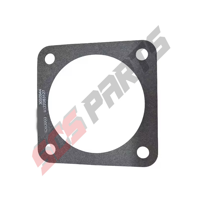 3050944 Flange Gasket