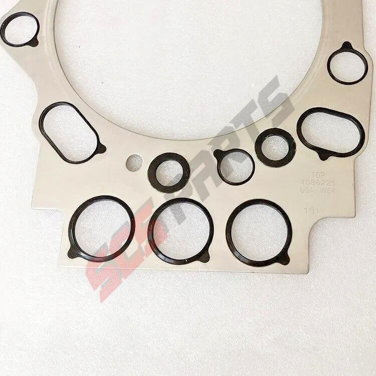 3649981 Cylinder Head Gasket