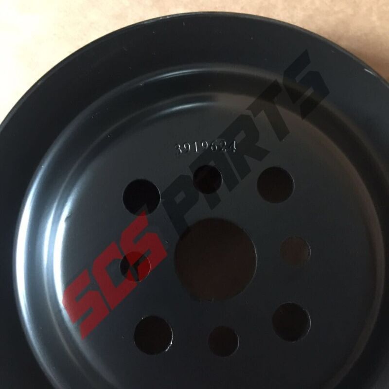 Polea del ventilador 3919624