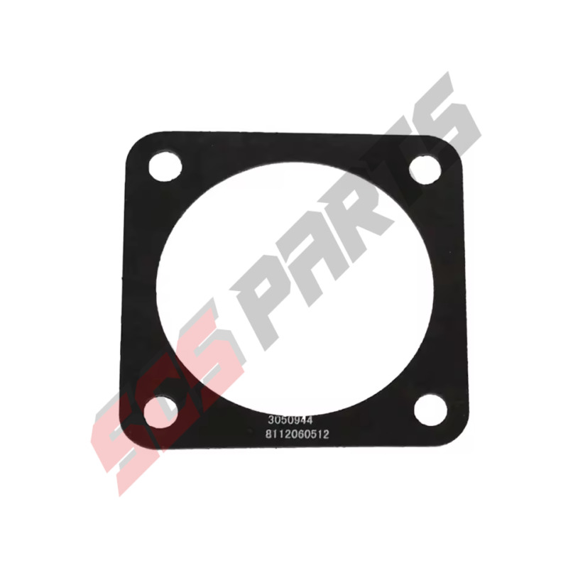 3050944 Flange Gasket