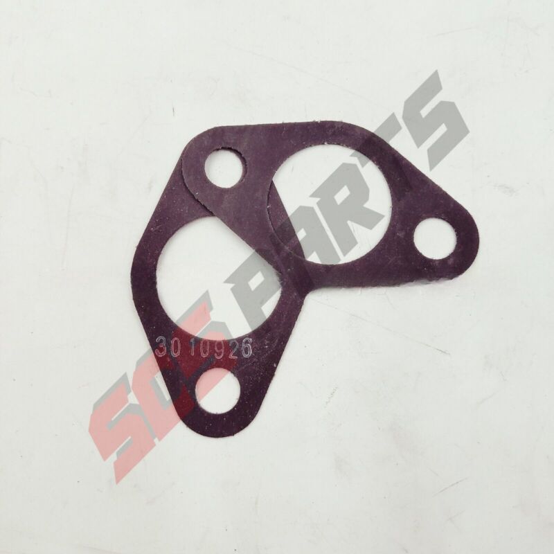 3010926 Flange Gasket