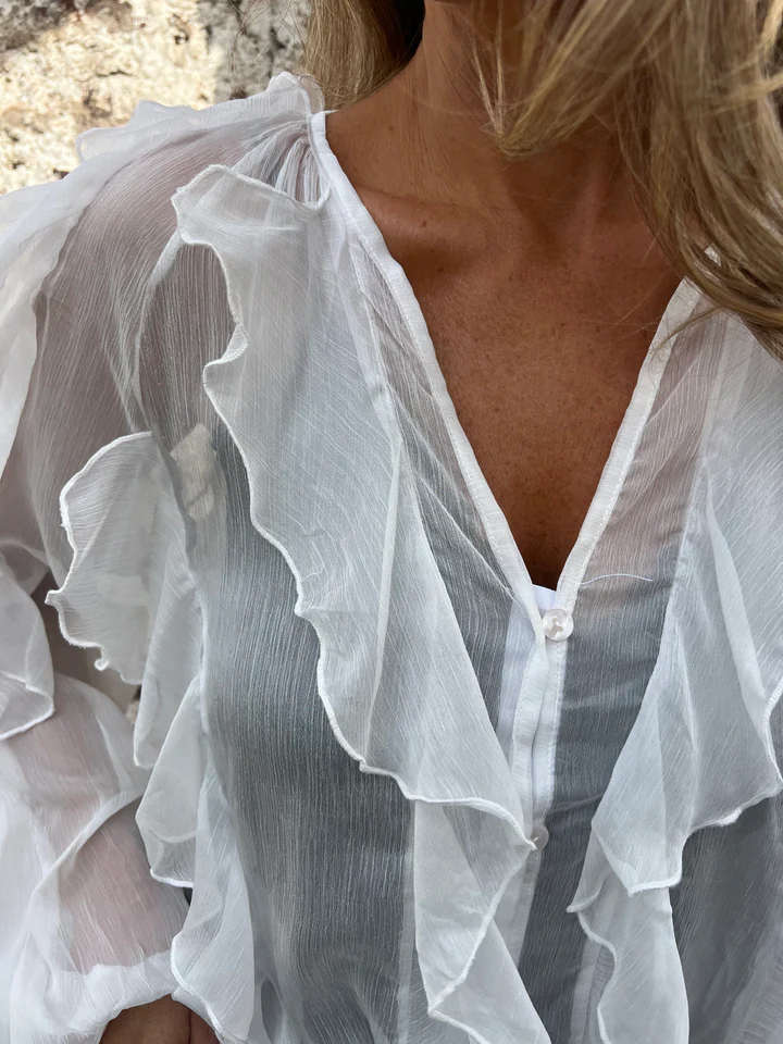 CLEARANCE SALE🔥Wrinkle Proof V Neck Blouse Bust Friendly