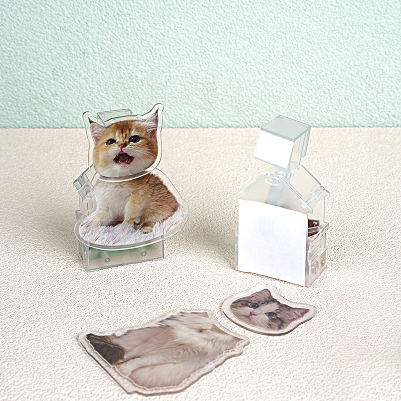 Custom Pet Bobblehead Accessories-Thyye