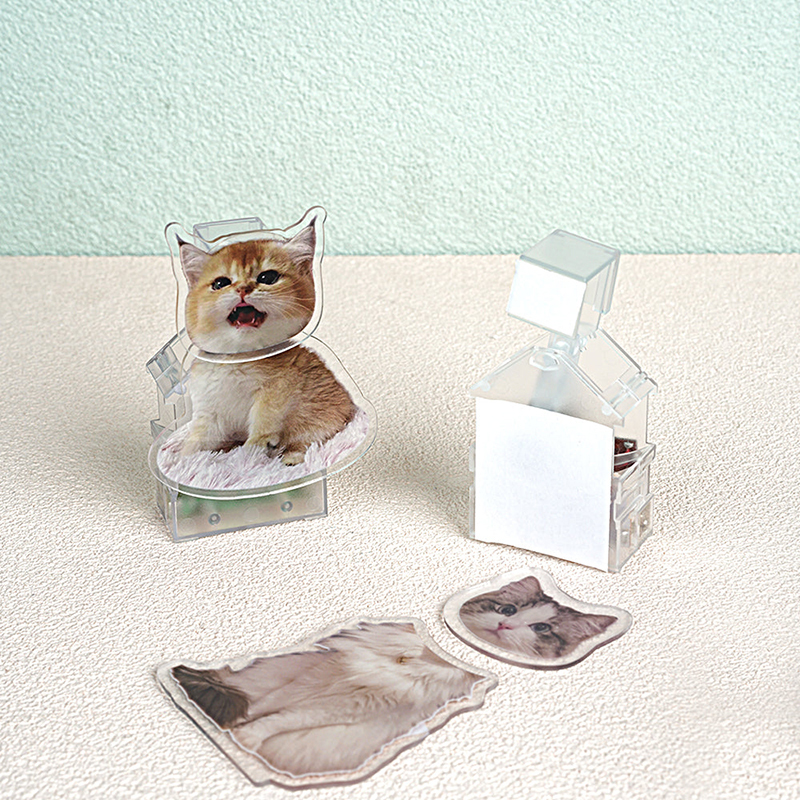 Custom Pet Bobblehead Accessories-Thyye