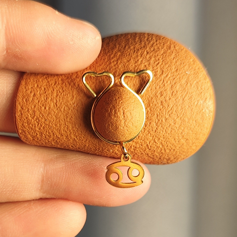 Custom constellation nipple clamps-Thyye