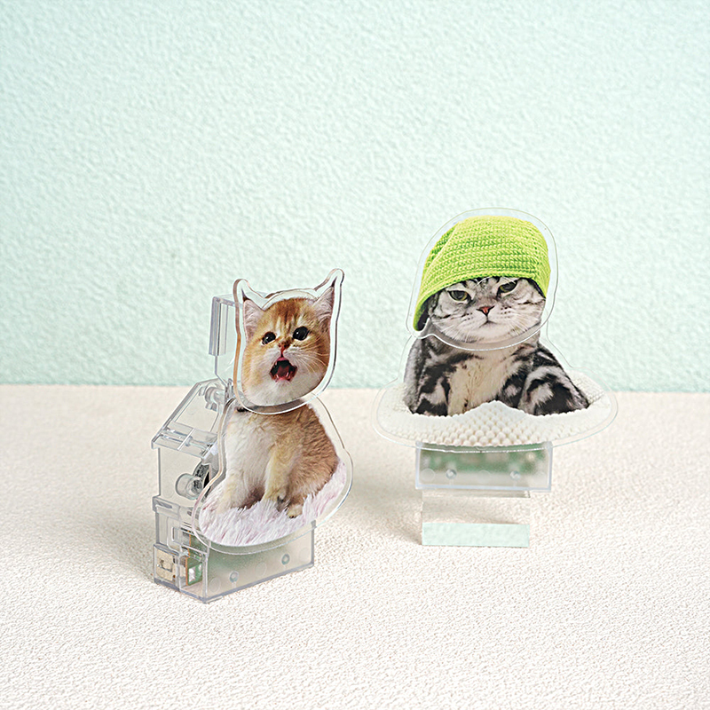 Custom Pet Bobblehead Accessories-Thyye