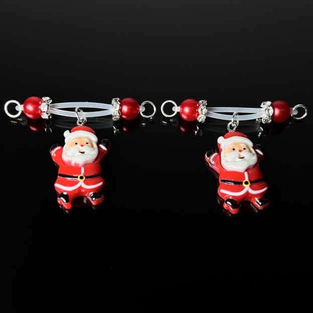 Santa’s Secret Clips