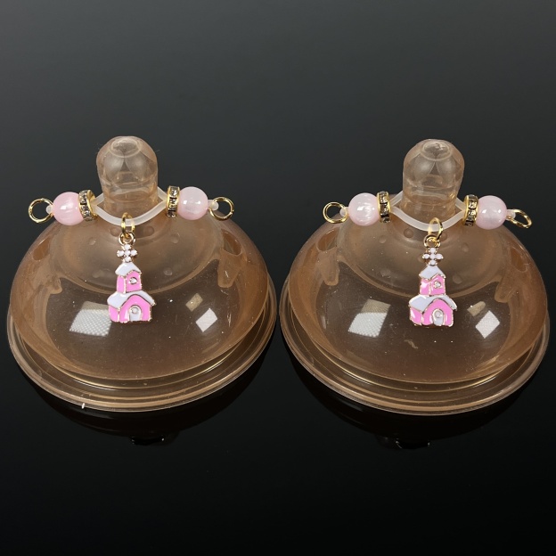 Pink Cottage Christmas Clamps