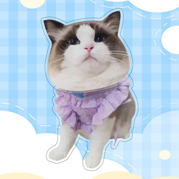 Custom Pet Bobblehead Accessories-Thyye