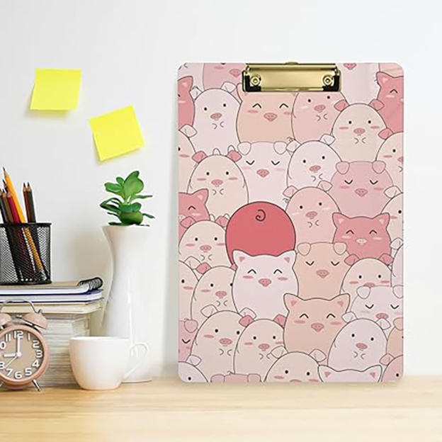 Custom acrylic folder board-Thyye