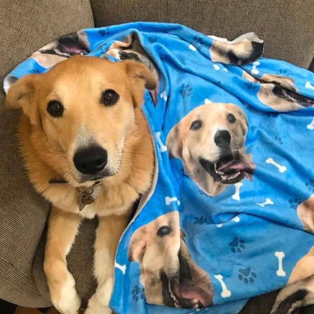 Custom Puppy Blankets-Thyye