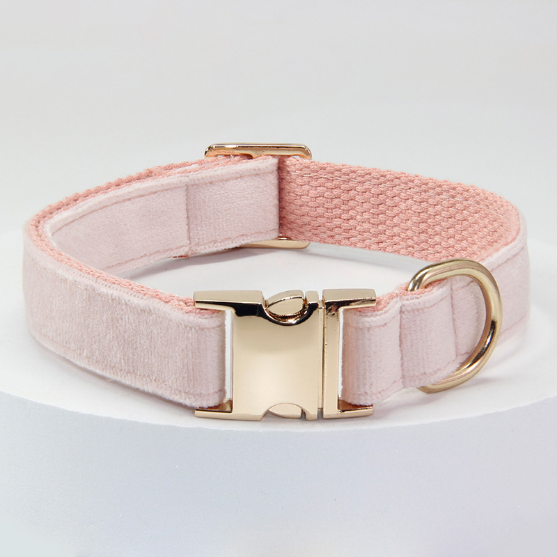 Personalized Pet Collars