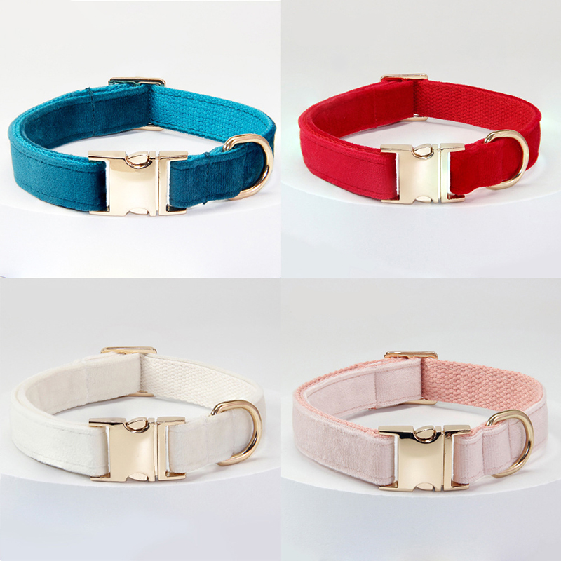 Personalized Pet Collars-Thyye
