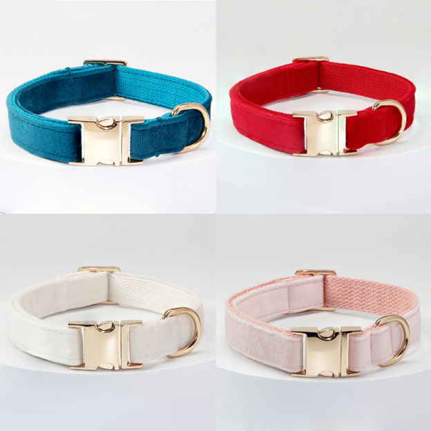 Personalized Pet Collars-Thyye