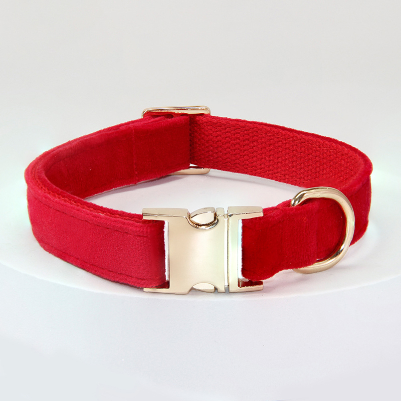 Personalized Pet Collars-Thyye