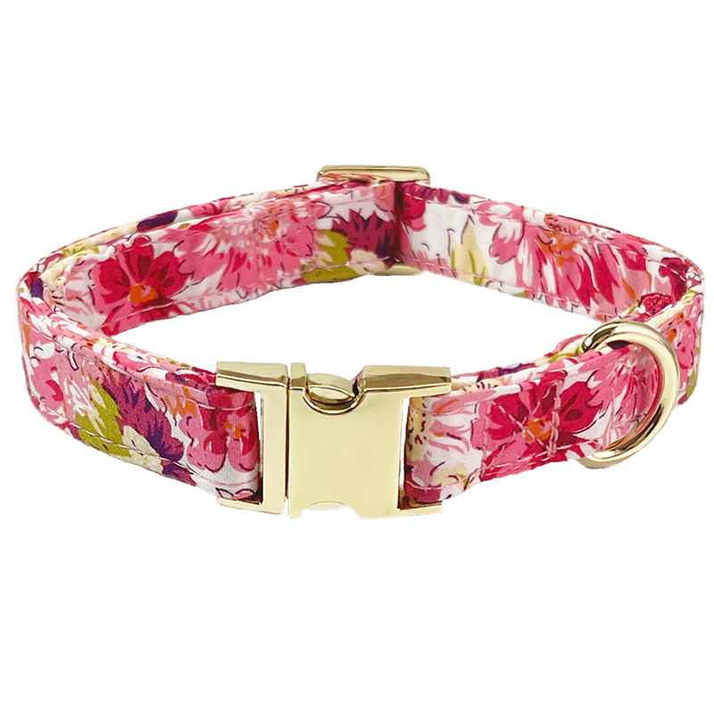 Personalized Pet Collars-Thyye