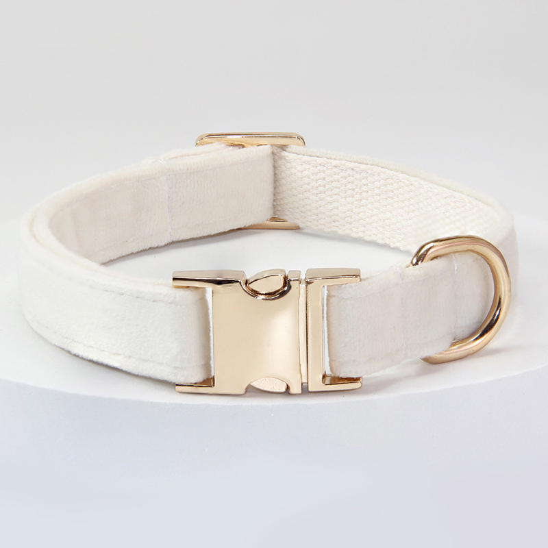 Personalized Pet Collars