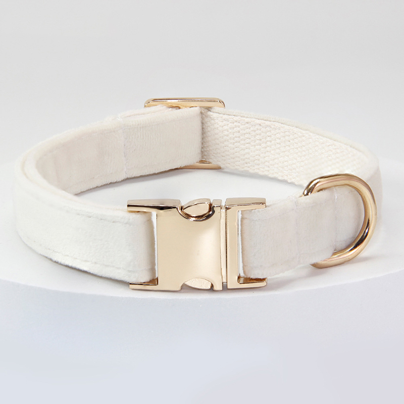 Personalized Pet Collars-Thyye