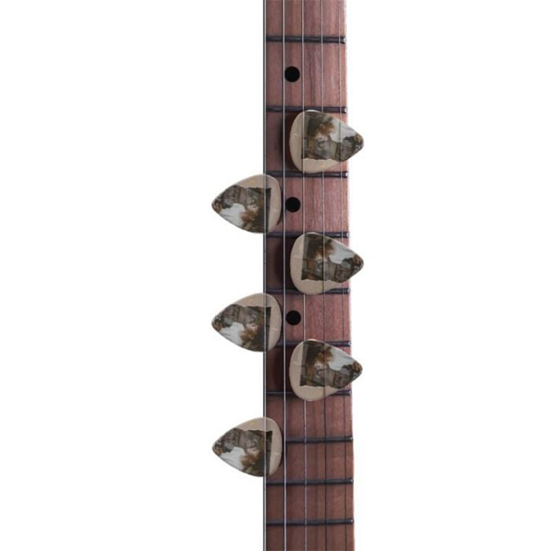 Personalized guitar picks-Thyye