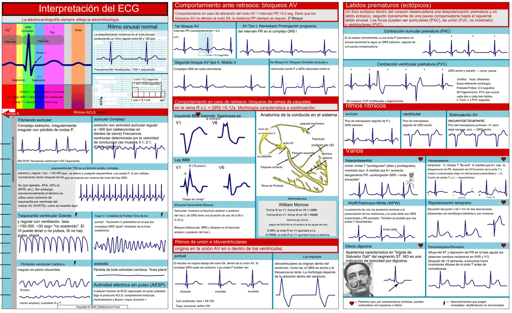 🎁TikTok Last Day Sale -70% OFF🔥EKG Pocket Guide