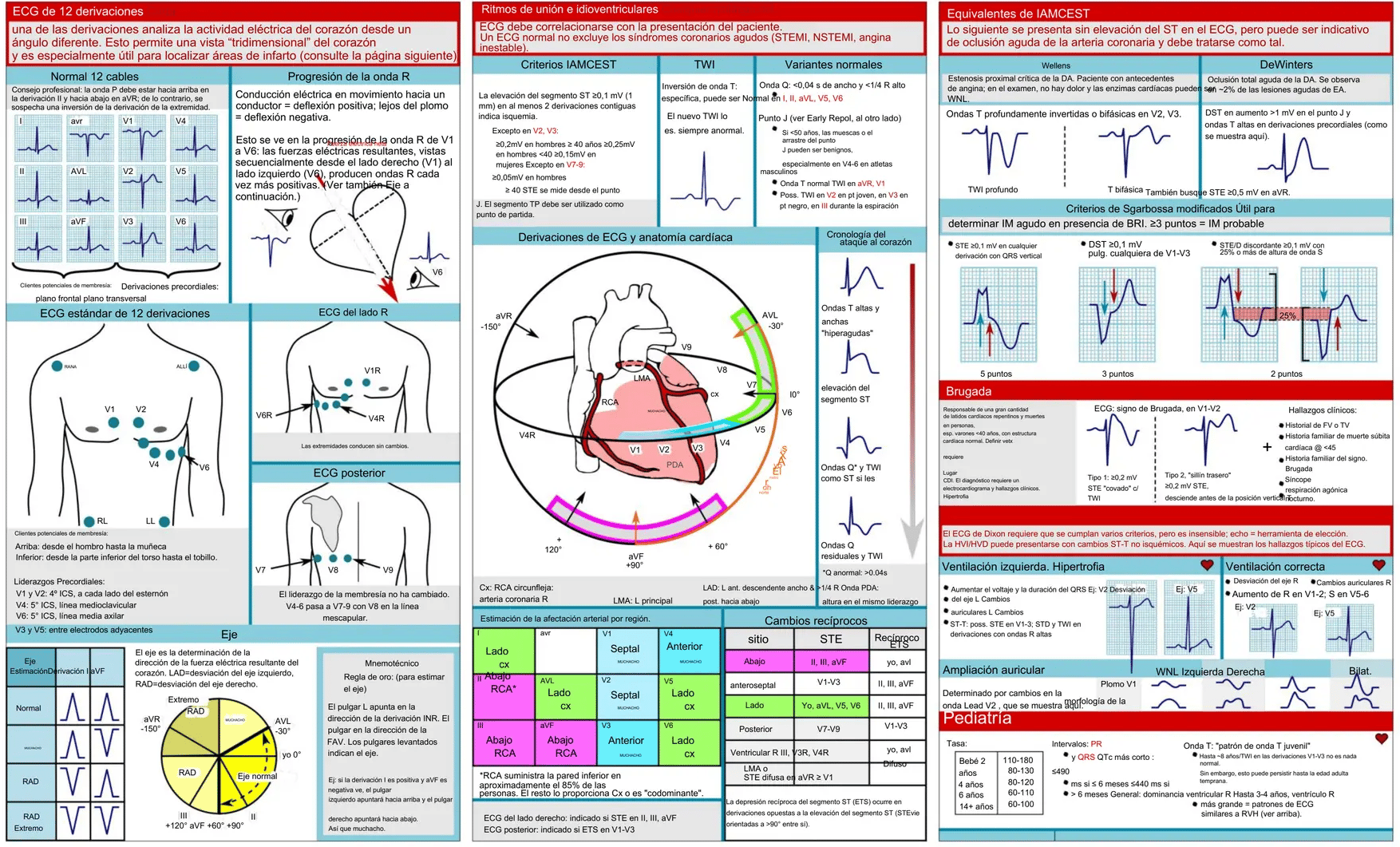 🎁TikTok Last Day Sale -70% OFF🔥EKG Pocket Guide