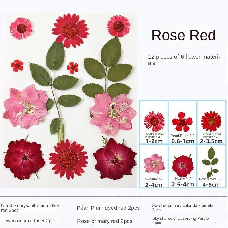 🎁Last Day 50% OFF💐DIY Transparent Dried Flower Bookmarks Set